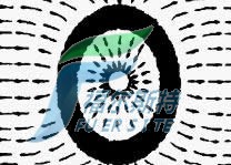 長(zhǎng)方形池（長(zhǎng)：寬＜1.5:1）